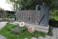 致敬“平安卫士”，铭记“刑警之魂”